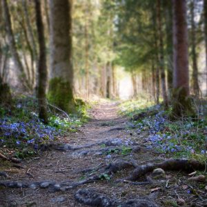 Духовен път и смисъл на живота с Астрология 2